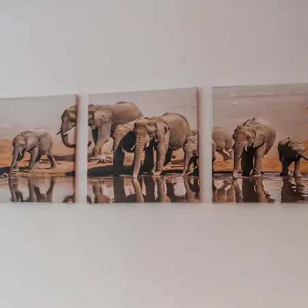 Martins House Quartos * Arouca